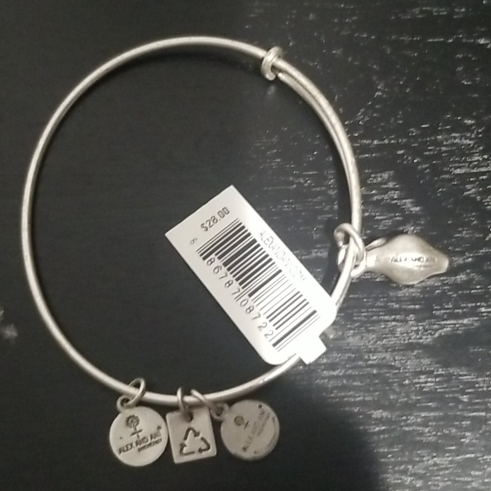 ALEX AND ANI BRACELET